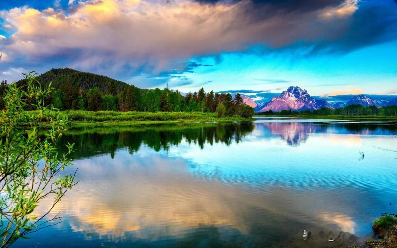 云朵翻唱了很多歌曲，却没有看见有谁找她要版权费，唯独唱刀郎的歌曲要版权费，有的歌