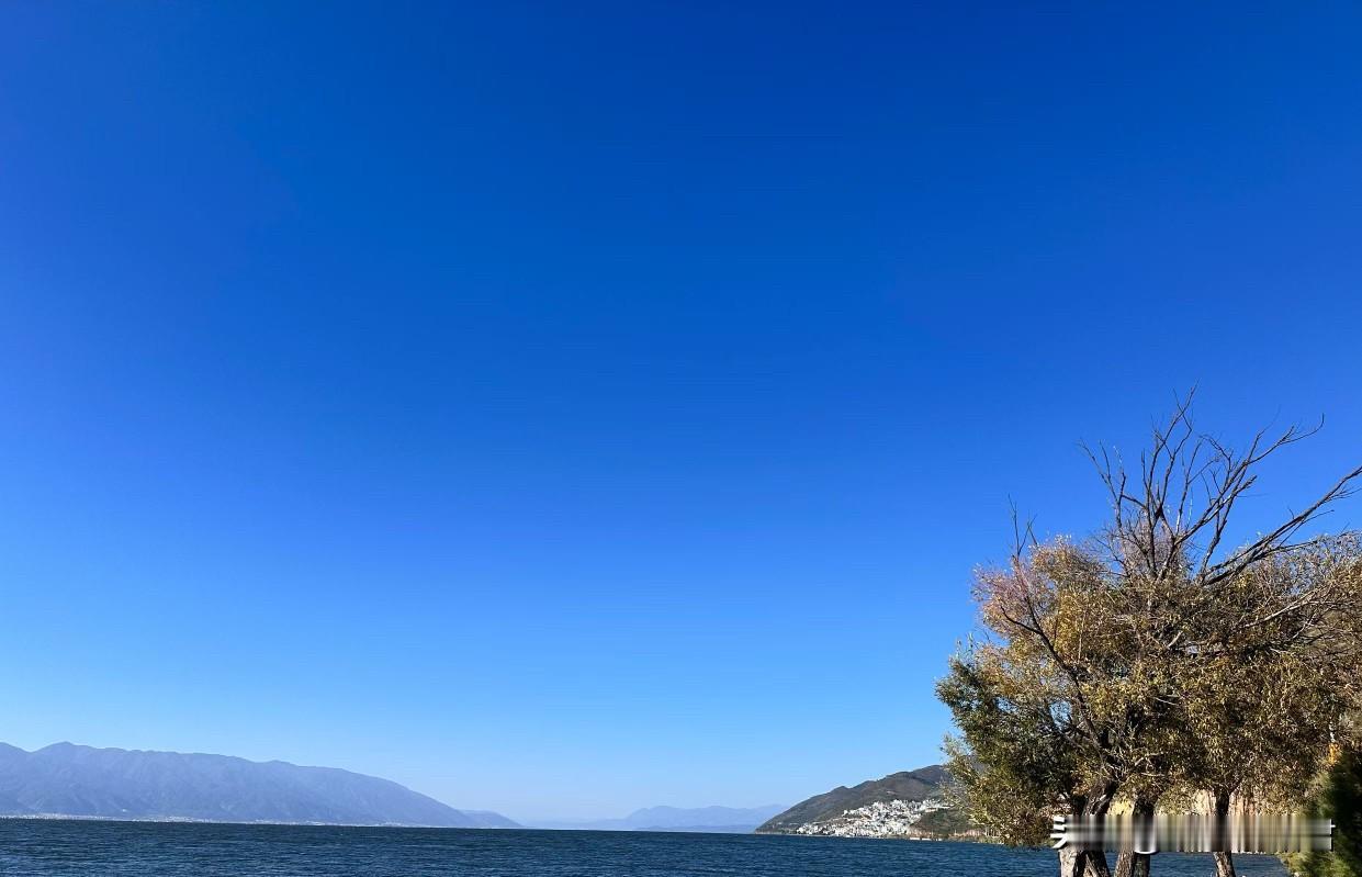 这女子真是太无知了，从有理变成无理，人财两空！一女子，发现老公外面有人了，而且老