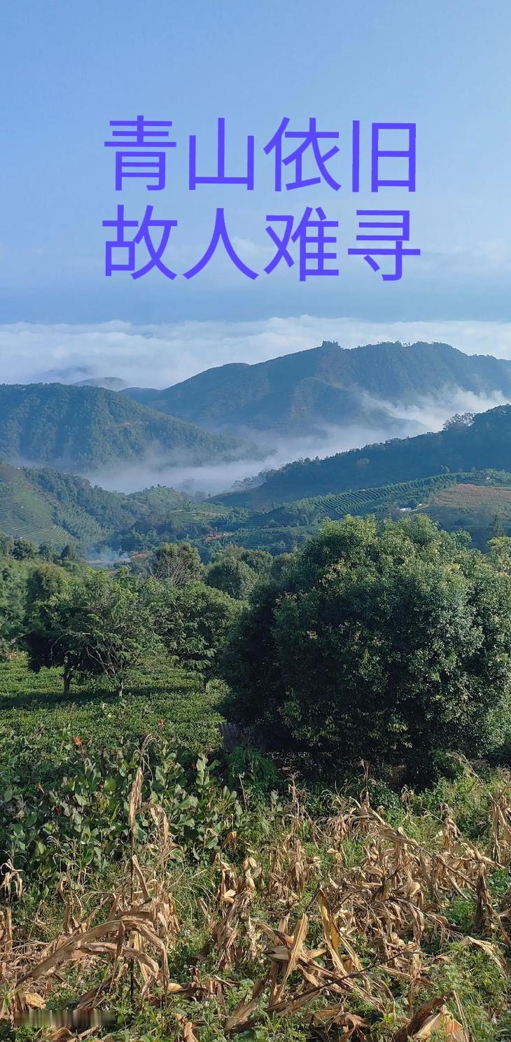 上联：青山依旧，怎么对下联 故人难寻