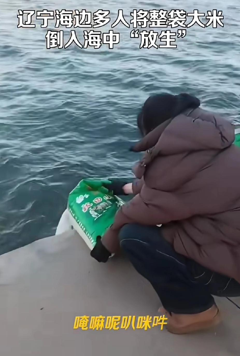 辽宁葫芦岛放生大米后续来了，官方回应批评教育，当地佛教协会撇清关系。11月2