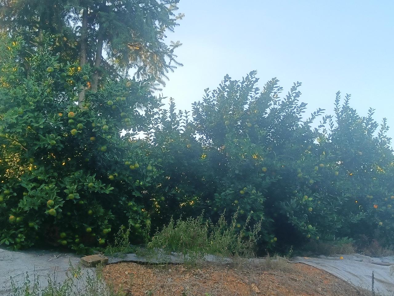 拍一张最美天空照