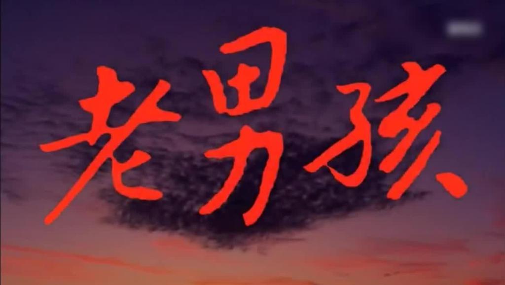 老男孩4278，一部短剧的魅力与深度，老男孩4278，短剧的魅力与深度探索