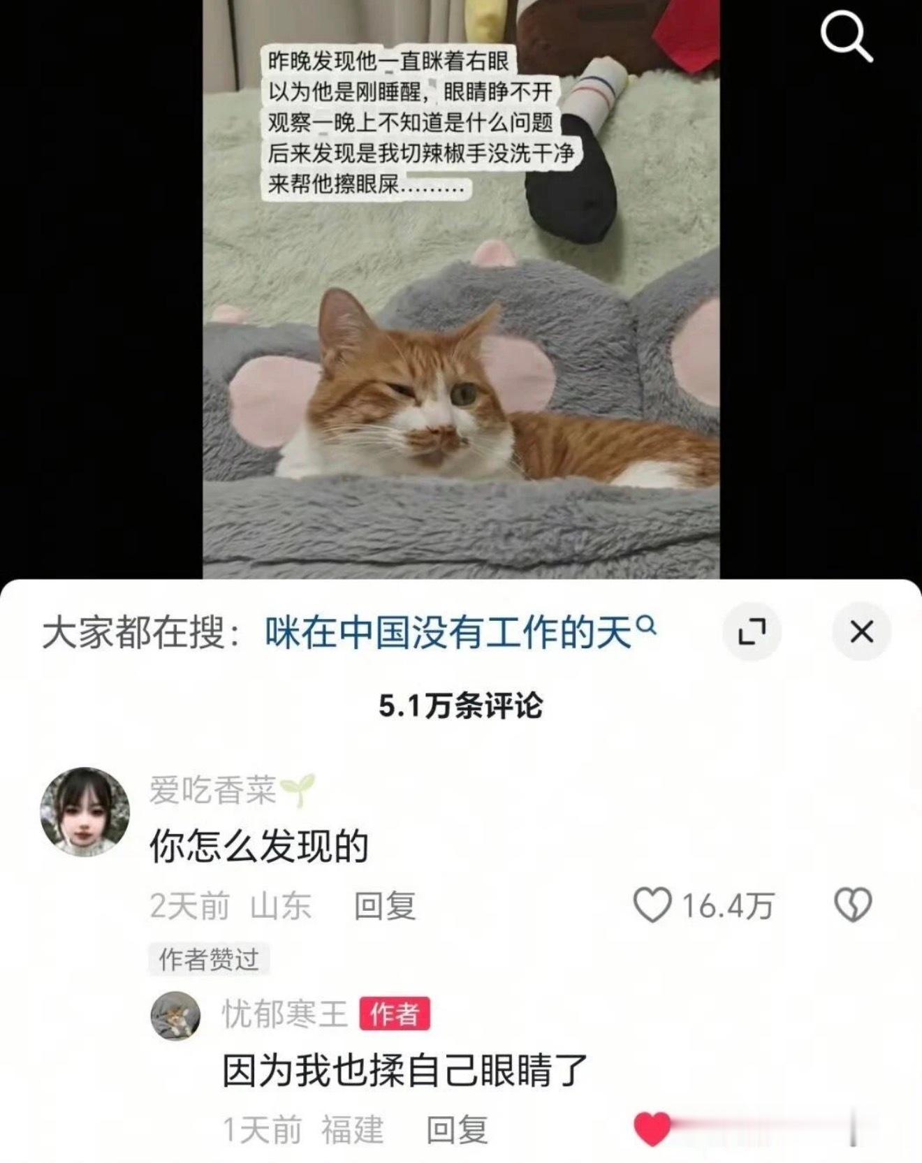 我又想起这张gif图了