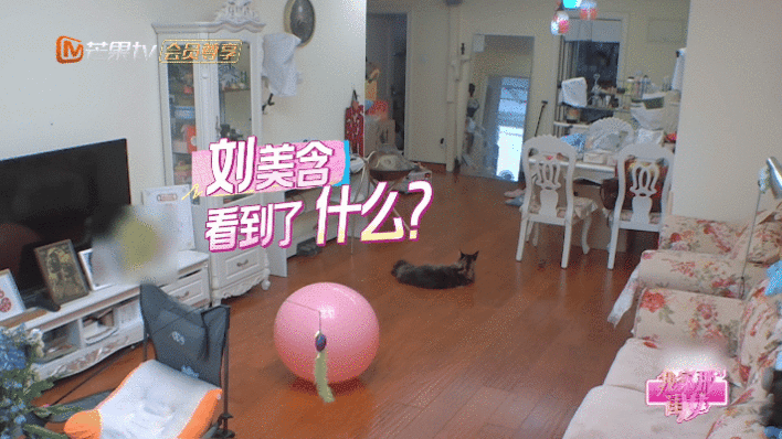 管乐家受害者再加一管乐家又“劝退”一个！刘美含拖着整齐行李箱上门，结果在管乐
