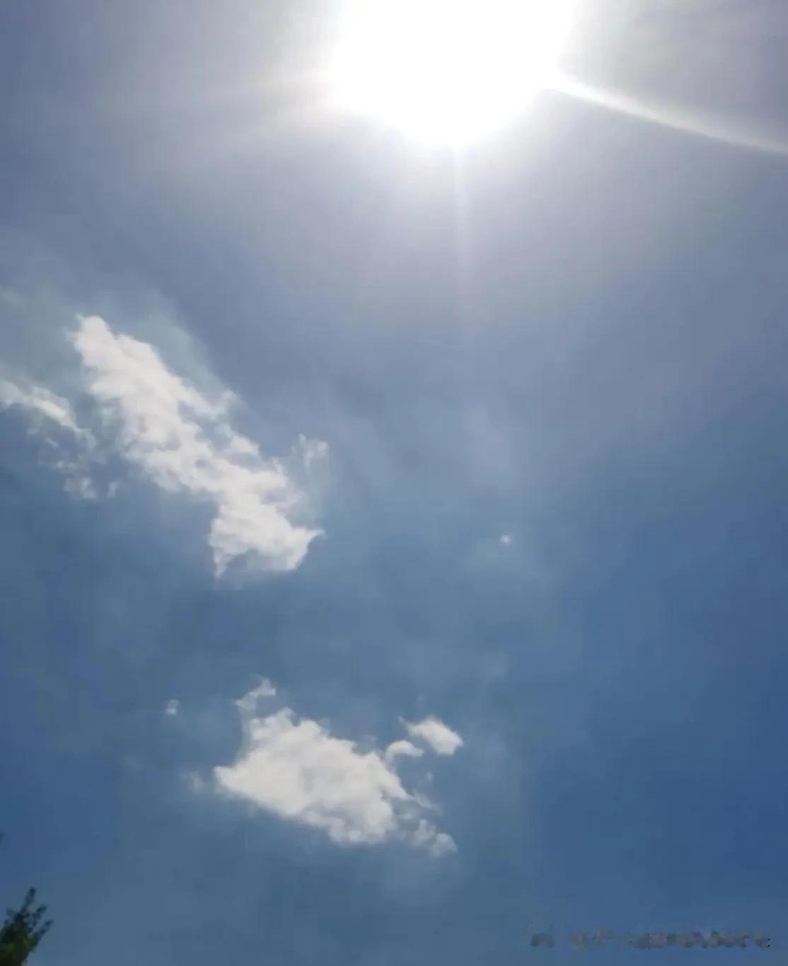 🔥气象台“卡点”39℃就是不报40℃！专家终于说实话了，网友：你猜我信不信？