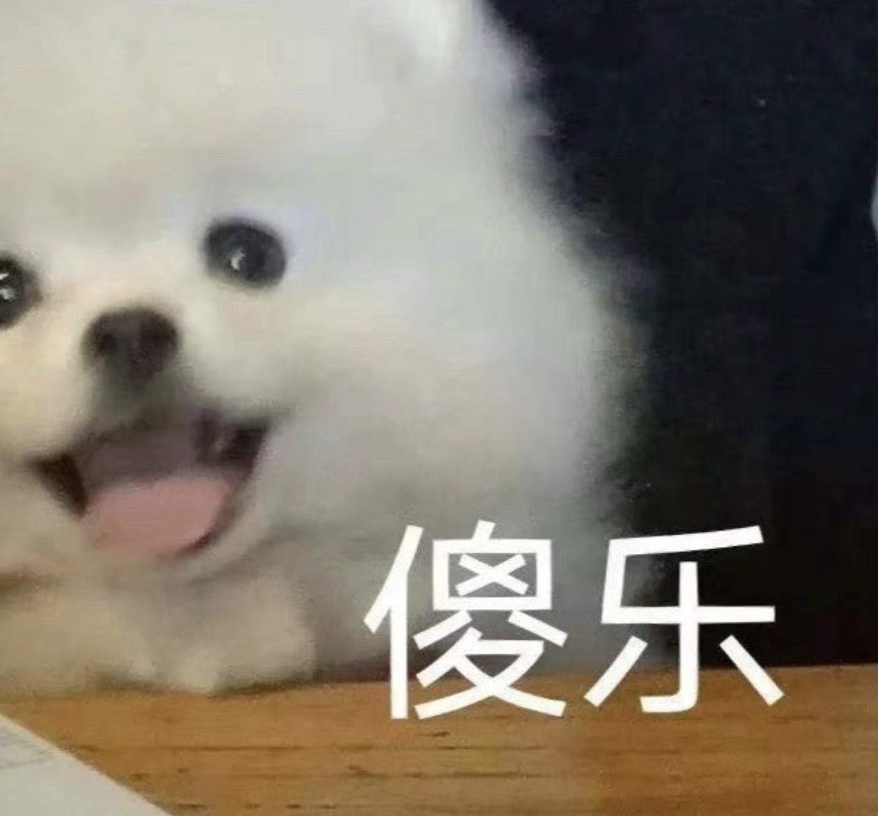 玩加早安你的人生中有哪些被自己