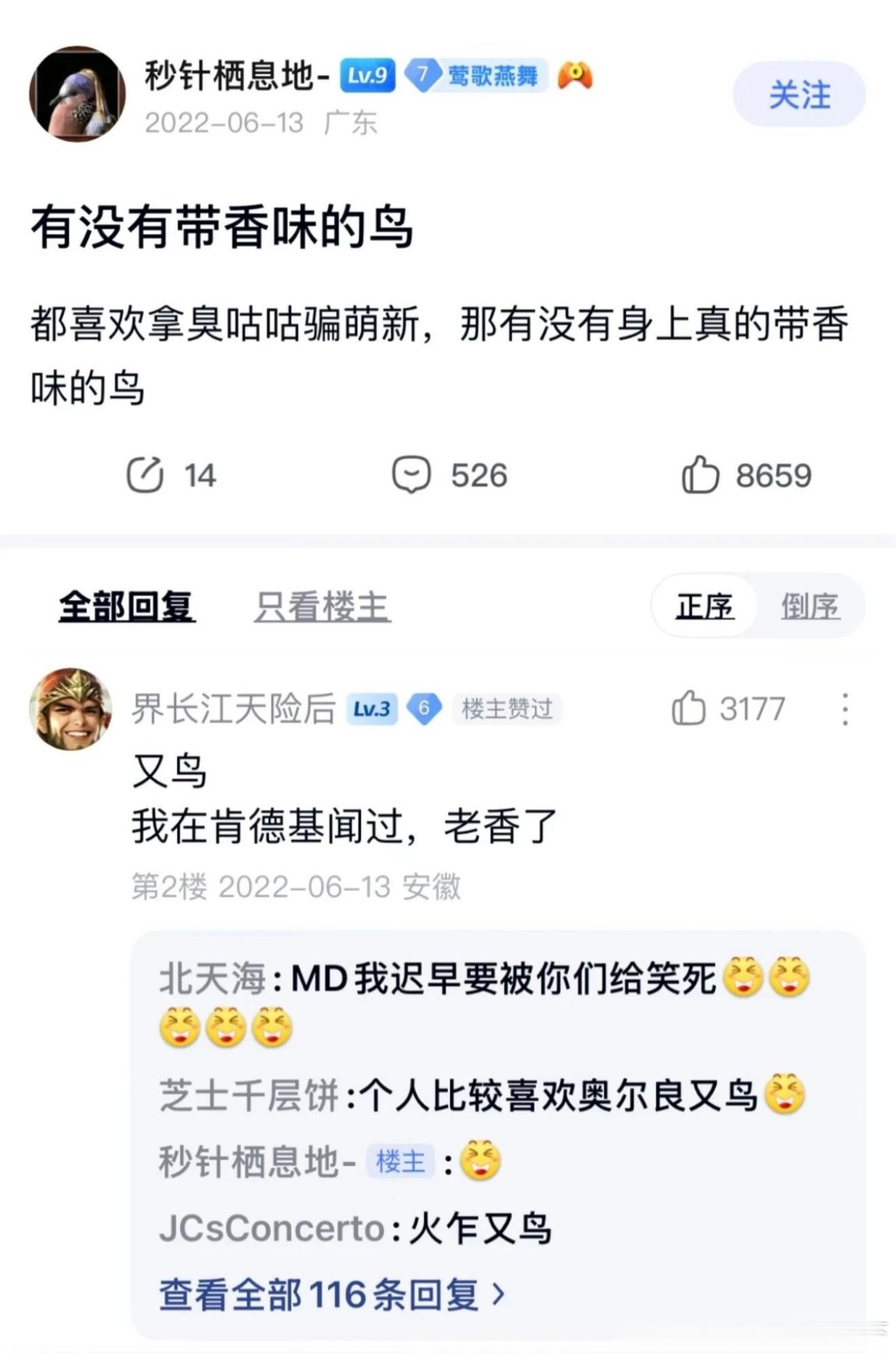 6472有没有带香味的鸟