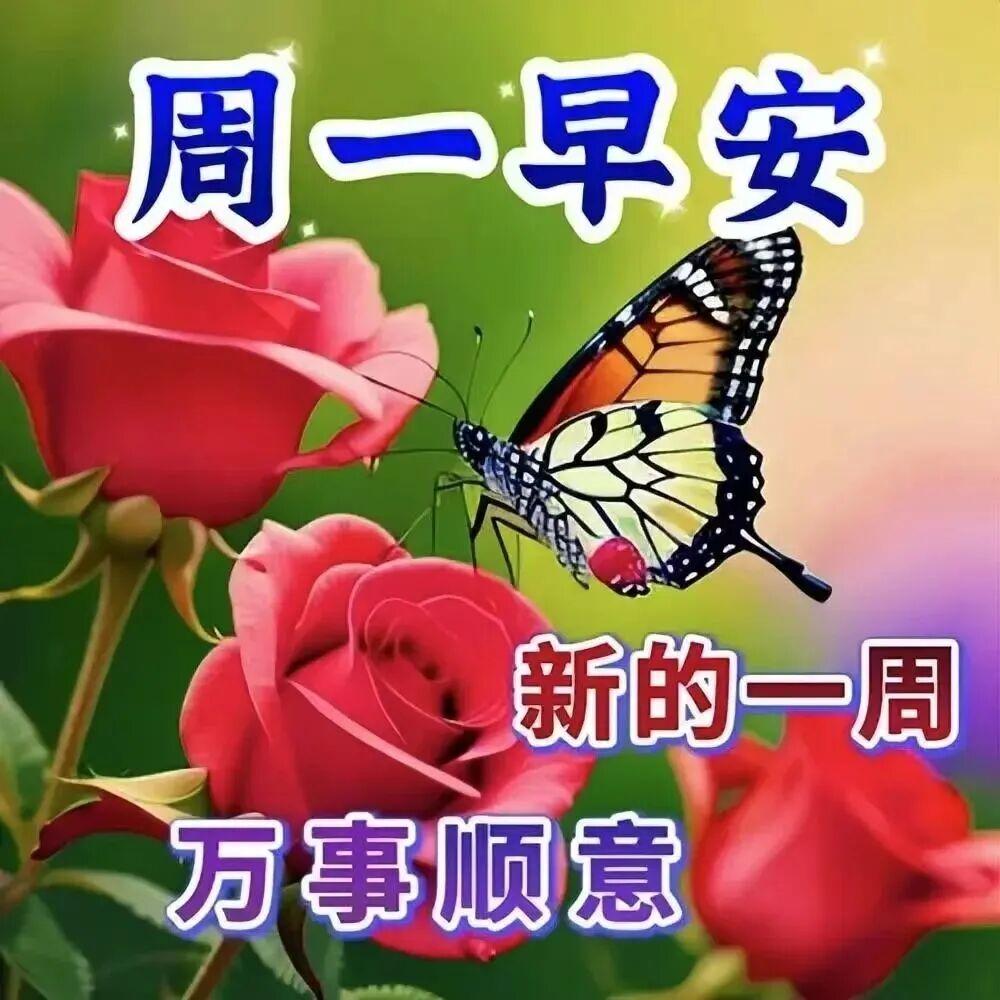 刮风下雨顺其自然，开心全靠自己调整。话不用多说，只求一件事：保重身体、健康第一。