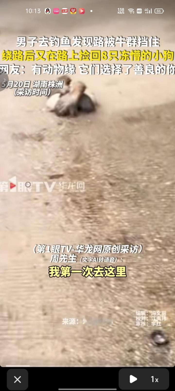 5月20日，湖南株洲。网友发视频称，有钓友说乡下的桥下有鲤鱼钓，去的路上汽车导航