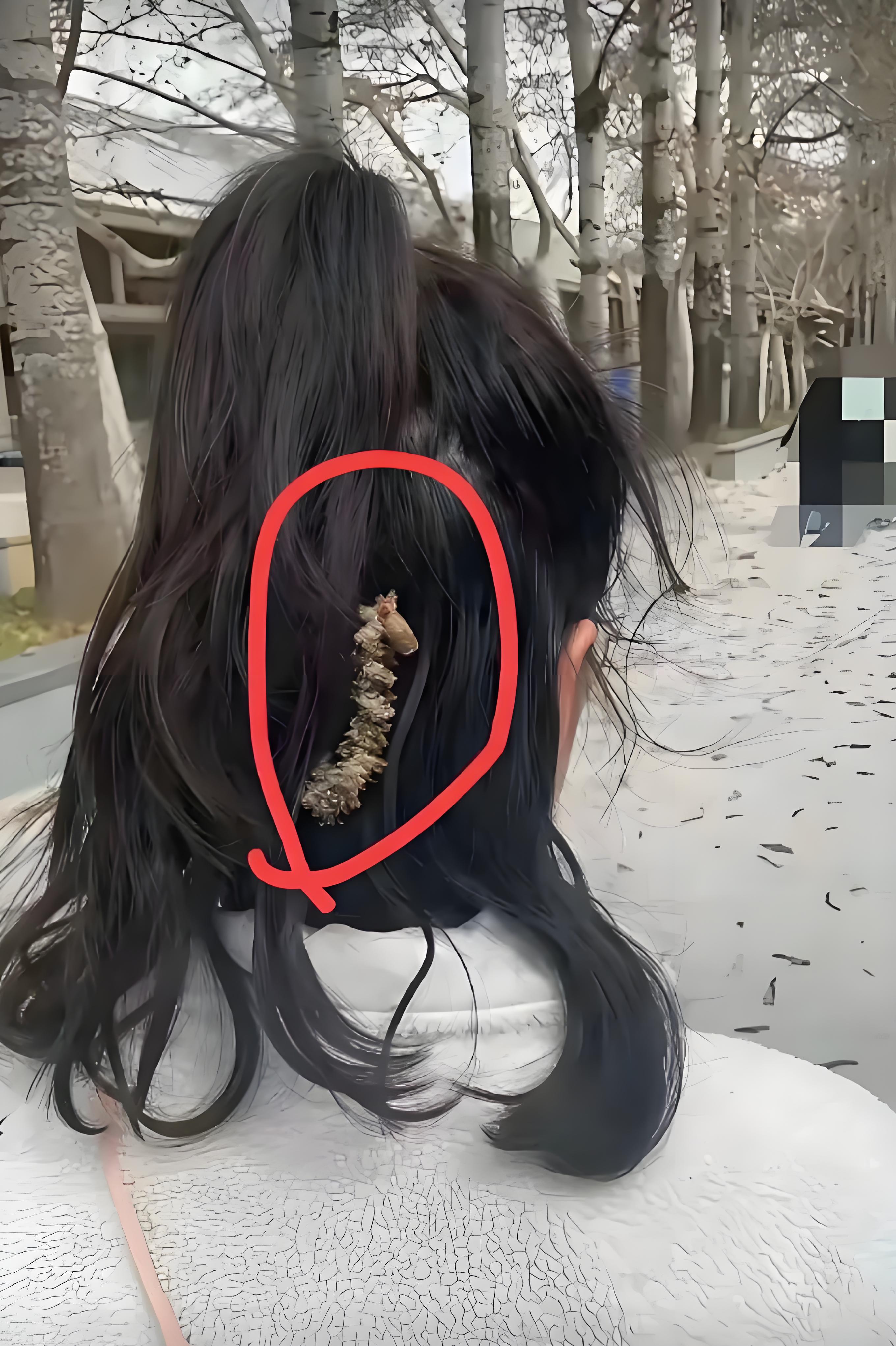 旁边是白杨树，这是他的花絮，河南漯河这样叫“杨穗儿”，其实是白杨絮儿或者杨花，小
