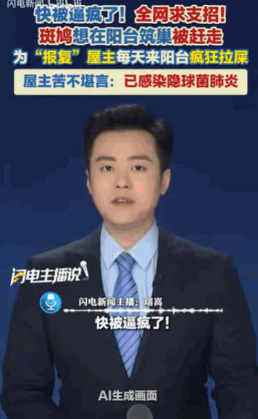 浙江杭州，一位男子最近可是被一只小小的斑鸠给逼得快要崩溃了，只因当初没让它在自家