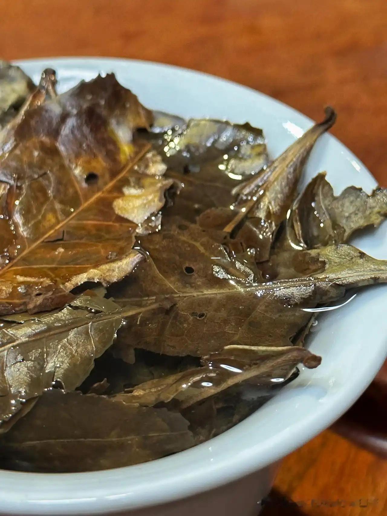 别看这破树叶，好喝的起飞少量少量少量