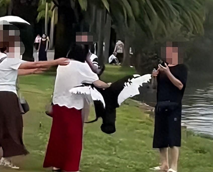 “素质低！”云南弥勒湖泉生态园，一名大妈为了在湖边打卡拍摄照片，竟然死死抓住黑天