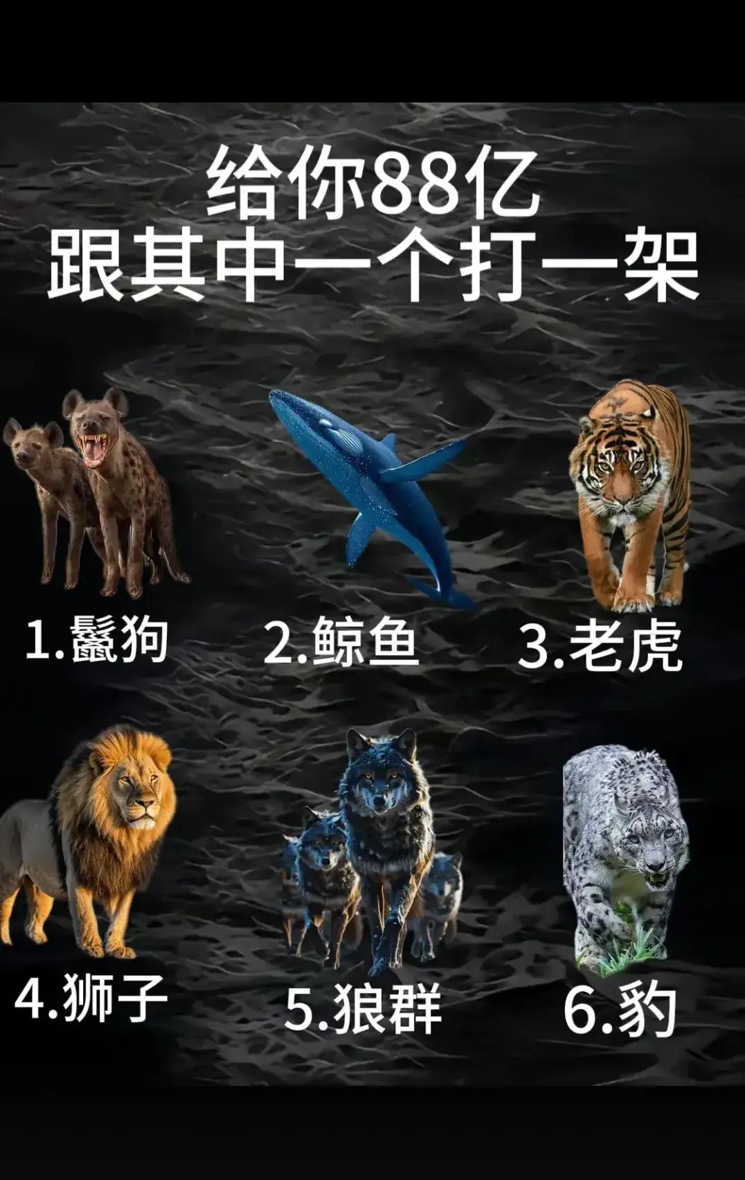 给你88亿，和以下物种打一架，会怎么选？