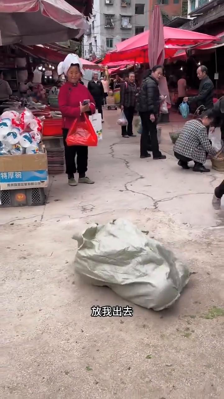 放我出去。谁干的？给我出来。小龙虾35元一斤。