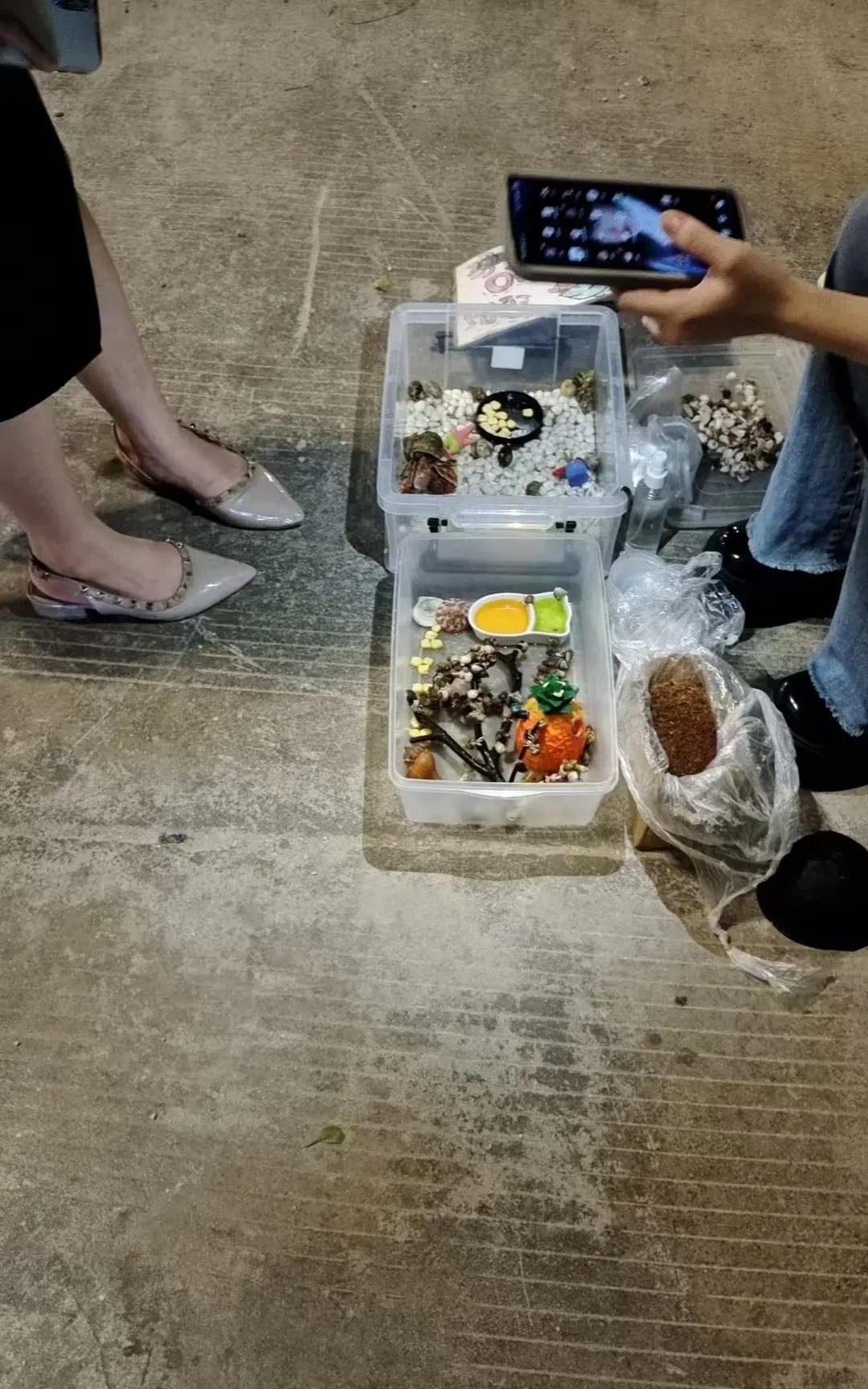 一个行业火了之后，就会有无数的人跟风。今天是周六，我不用上班，也不用带孩子，在