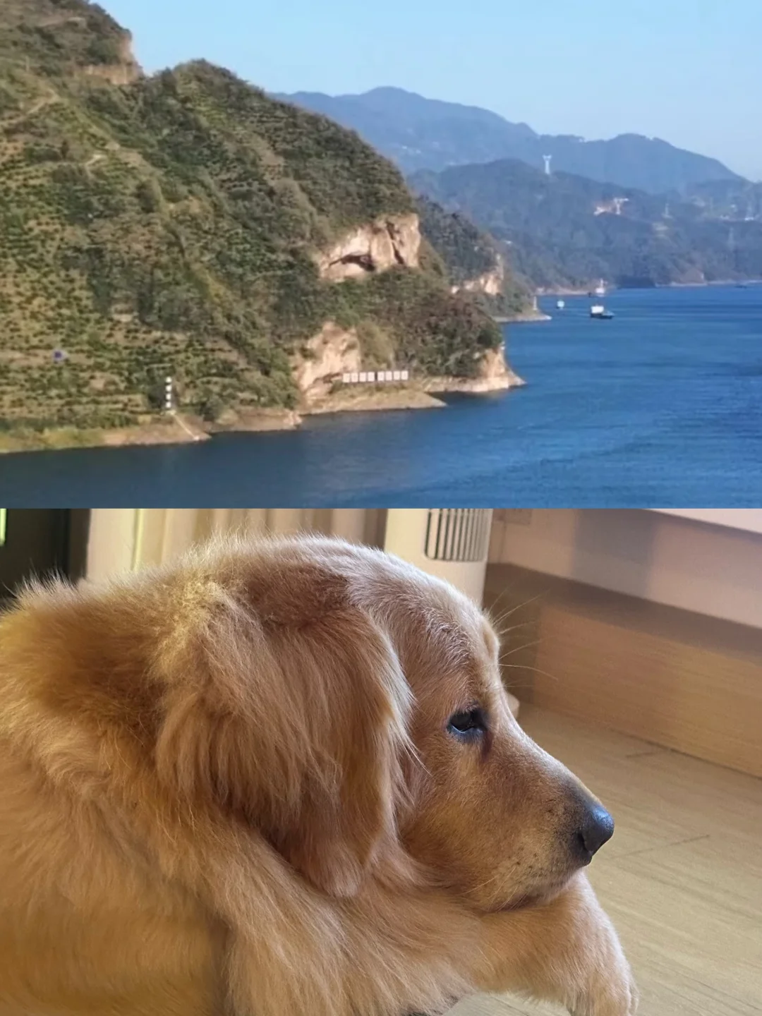 谁家里没有一座大山⛰️