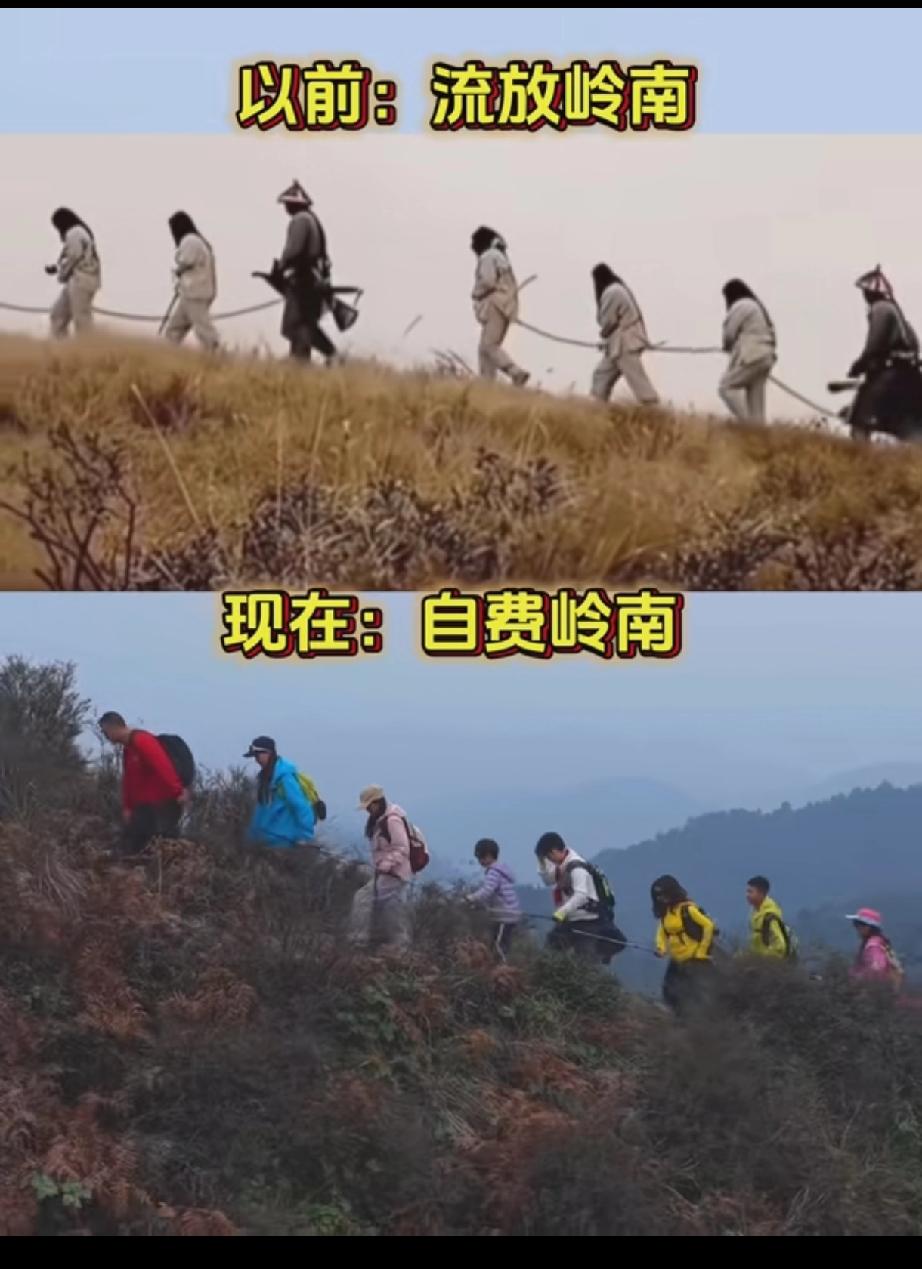 有么有祖籍广西的，老祖宗该不会是当年被流放来的吧[捂脸哭]