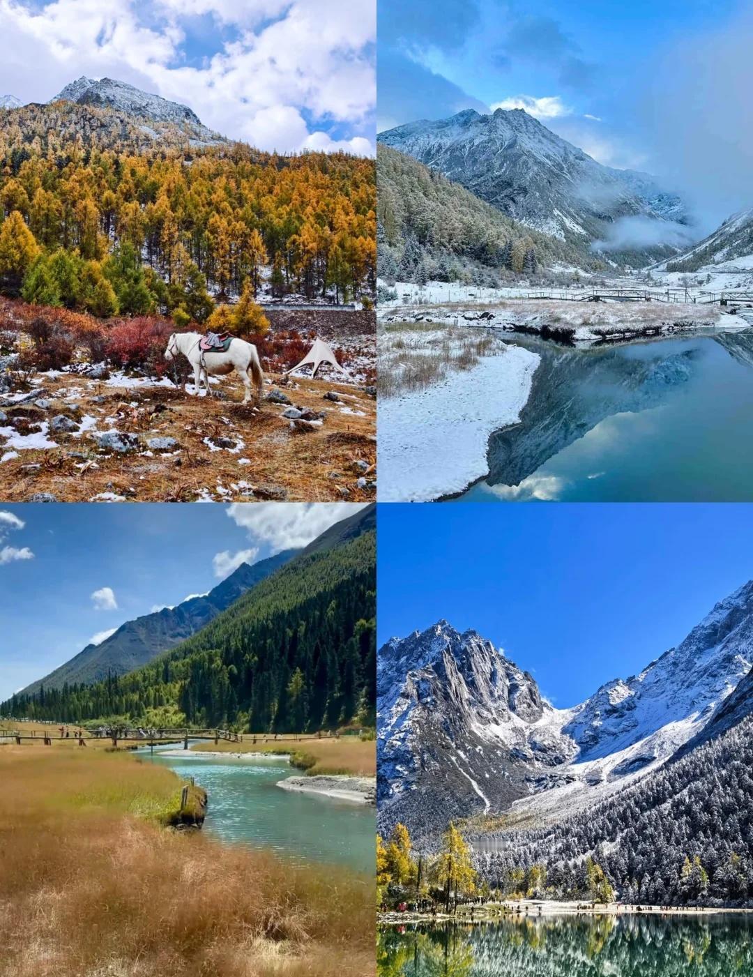 理小路今日实拍🔥人均100➕不来肯定后悔理小路一战封神的时候到了,不似人间烟