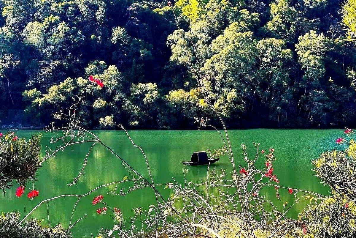 哥们儿，去年四季度有些AI算力龙头，从坑里直接干了80%到150%！太猛了…