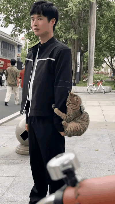 小伙子从单位辞职了，他经常投喂的一只流浪狸花猫，好像知道他离开就不会再回来了，