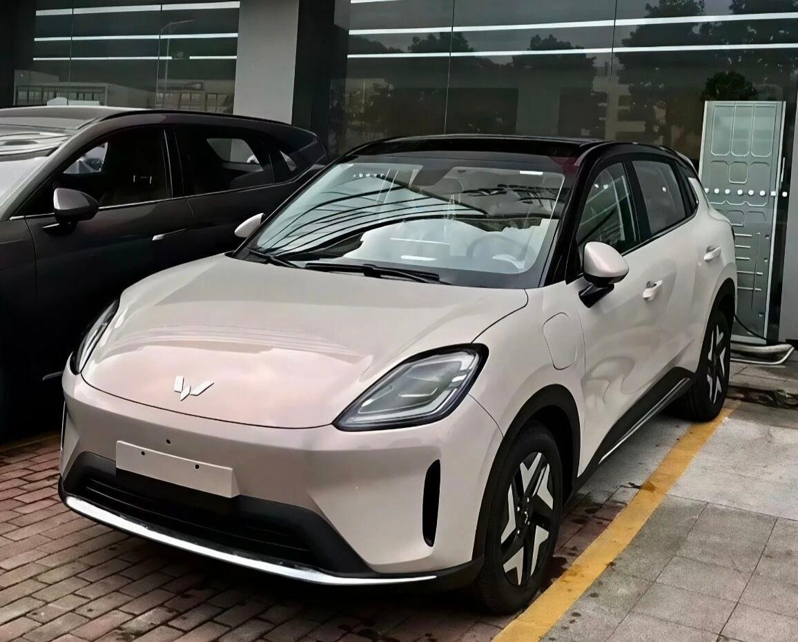 实在太难了，五菱缤果S，如何跟极狐T1和名爵MG4竞争?五菱缤果S，车身尺寸42