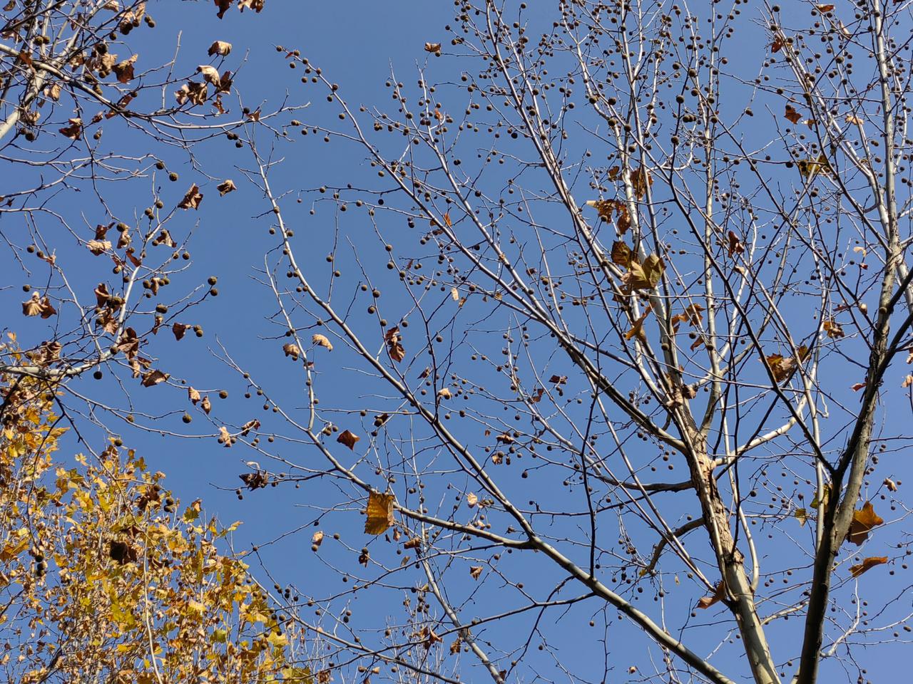 一位“失去机会”者总结教训说，在单位表现优秀，即使提拔部门副职，仅仅主管领导欣赏