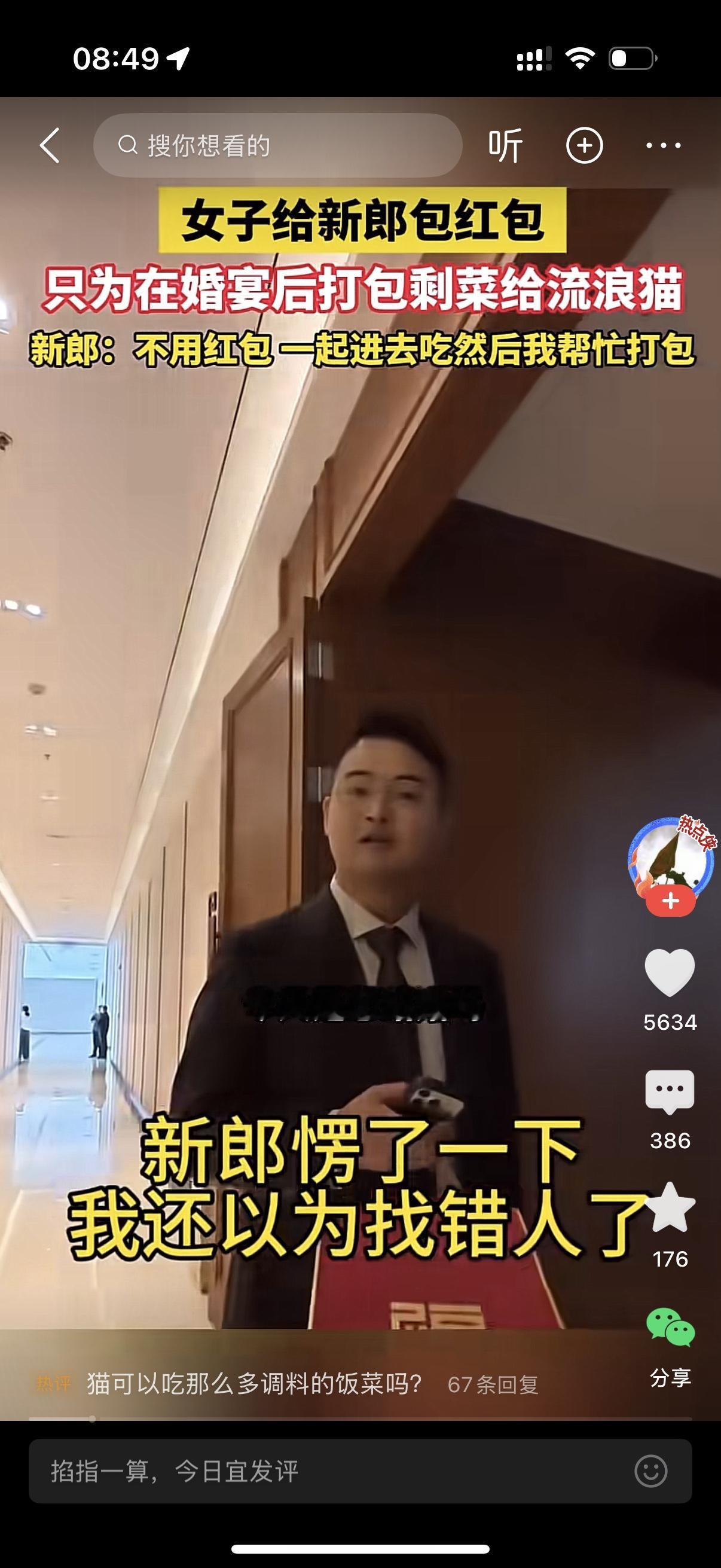 女子想打包剩下的饭菜给流浪猫吃。她递给新郎一个红包，问今天是您结婚吗？新郎有点懵