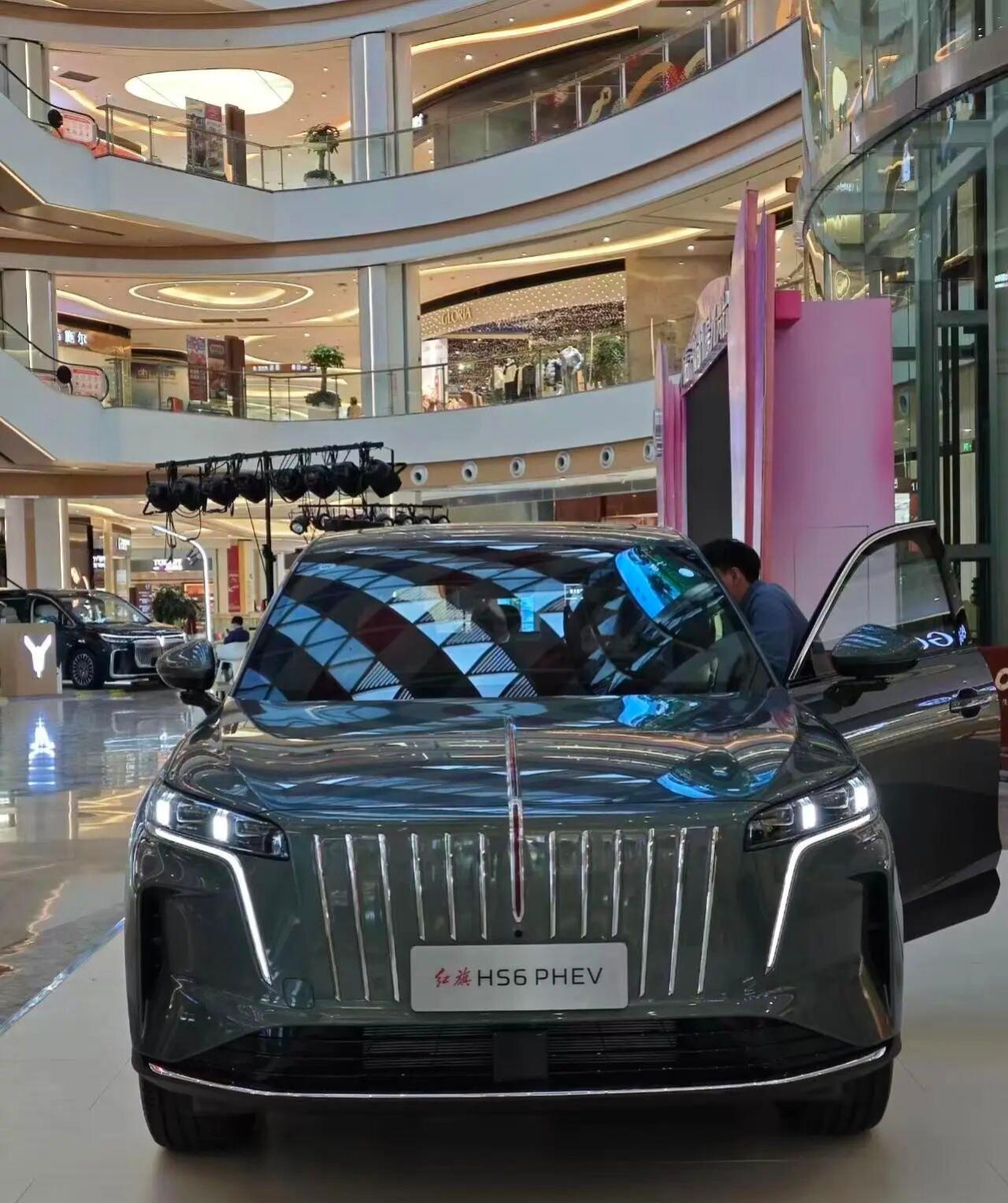 新车定位为一汽红旗全新插混中大型SUV，是红旗“鸿鹄”混动平台的全新车型，搭载1