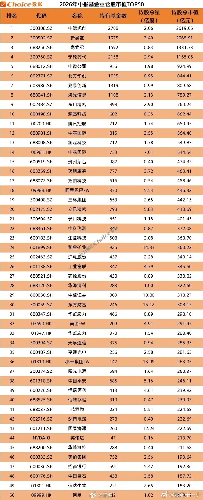 公募10大重仓股大调整