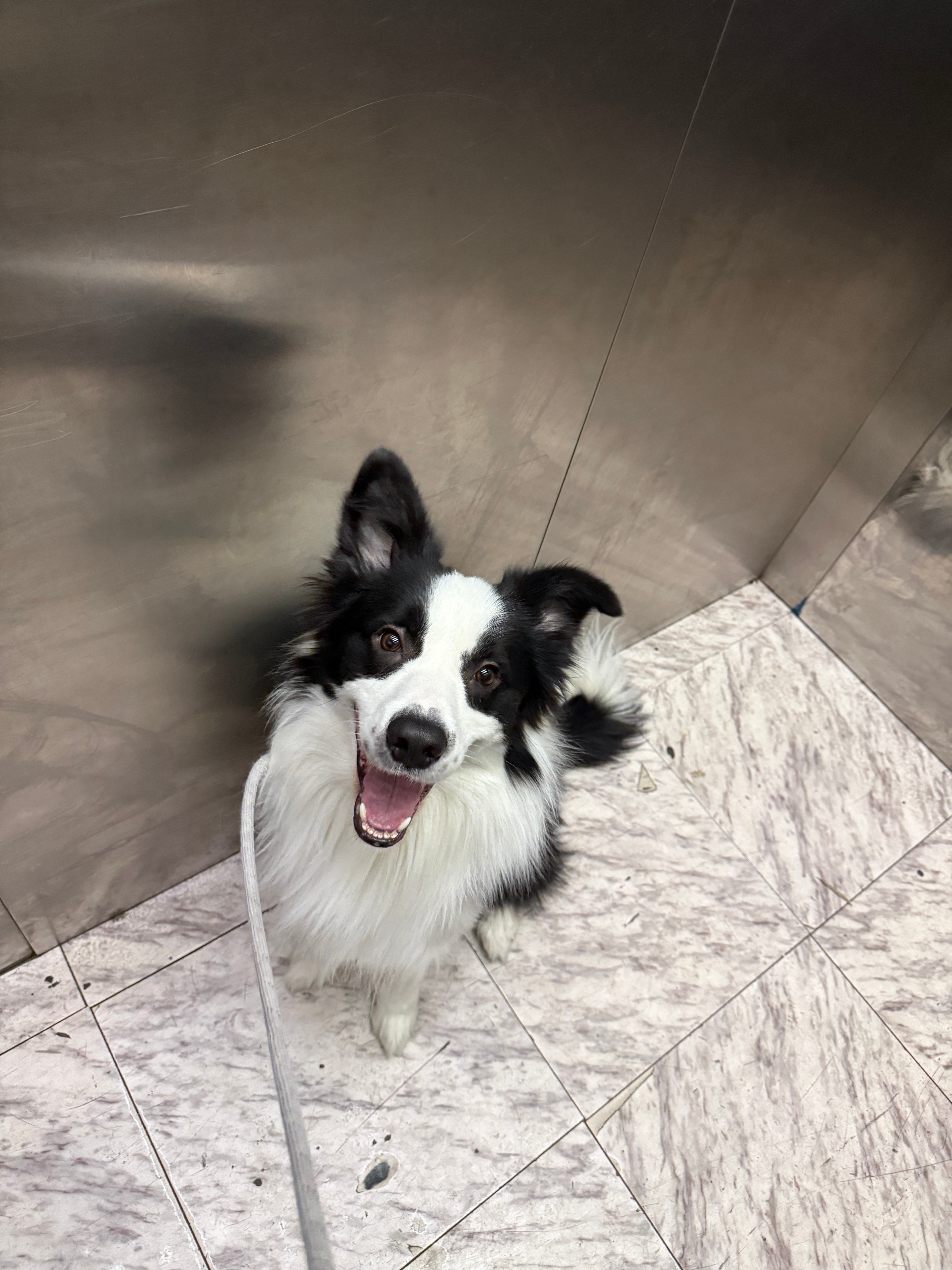 对自己抵抗力的认知达到了新高度，为什么每次周围有感冒的我都逃不过……一大早起来就