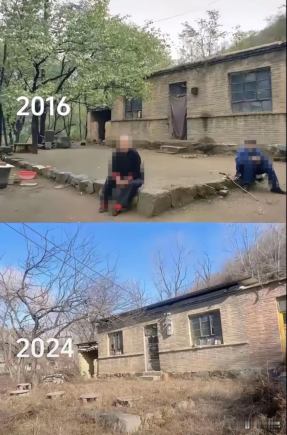 一张照片，揭示出来普通人生：父母在，家就在；父母不在，家也不在了，人生就只剩归途