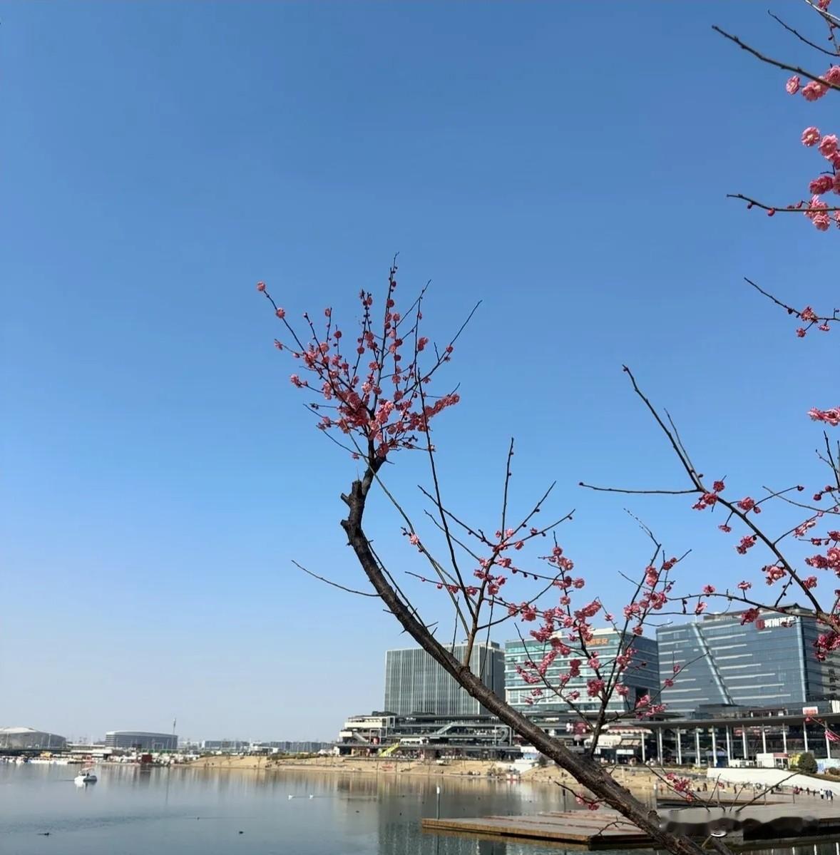 人的生命真是无常呀我同村的哥哥，今年62岁，前年他的母亲才去世，去年腊月二十