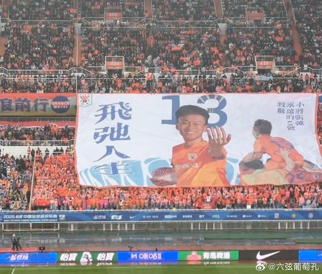 山东泰山山东泰山“再见”&致敬，小将张弛