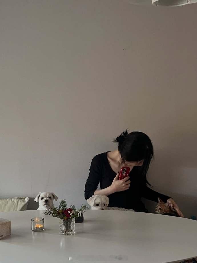 我火速get李彩领这个同款手机壳这组其实可以当朋友圈发~