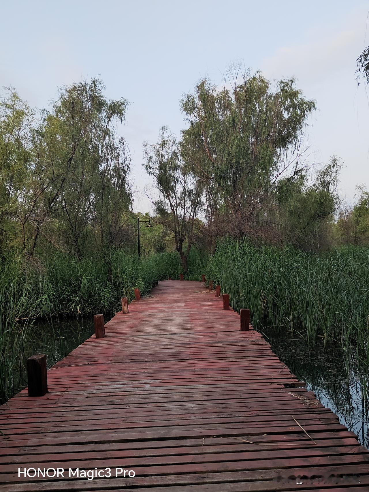 老师遇到上课睡觉的学生怎么办原来我上课时，偶尔有睡觉的学生，我