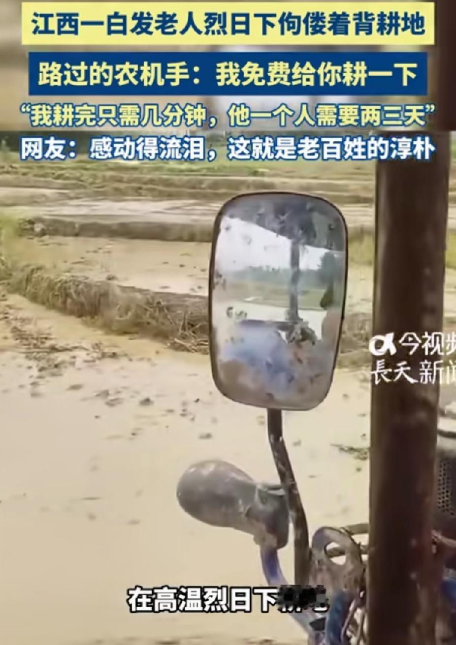 破防了！江西，一位农机手看到老人在烈日下耕地。突然他喊:“嘿，我给你打一下田，