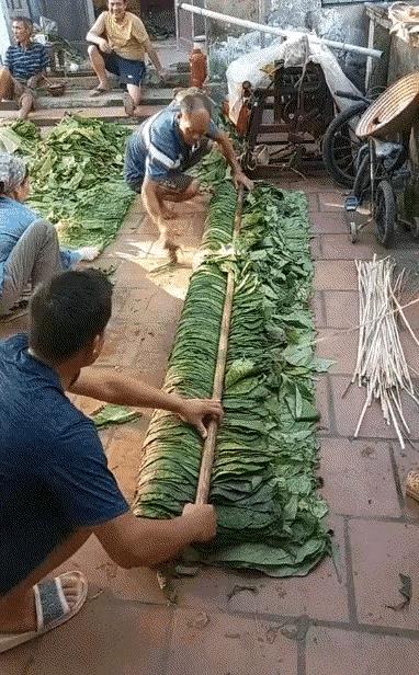 这是什么东西？虽然自己在农村也生活了很多年，但还是没有辨认出这种东西是什么，感觉