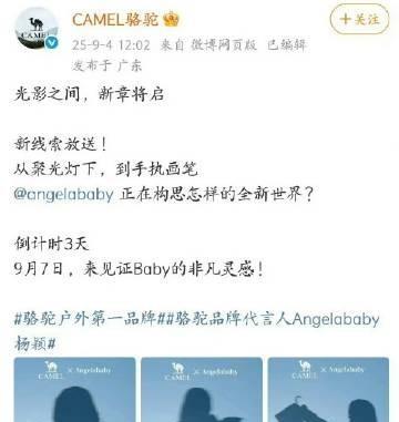 Angelababy杨颖升title了，骆驼品牌代言人即将官宣，虽然很久没出现但