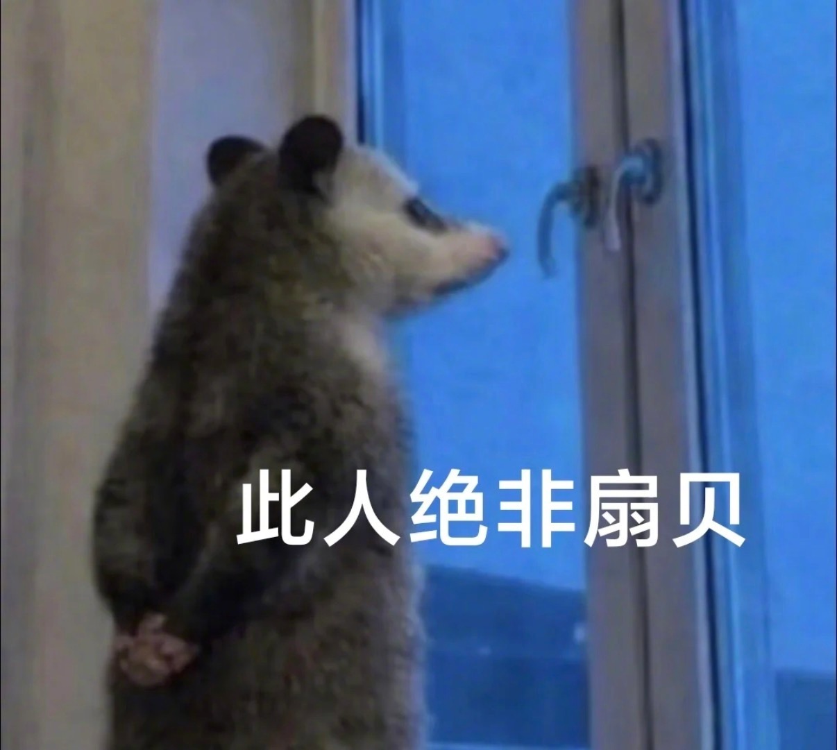 什么都不管就拍就喝