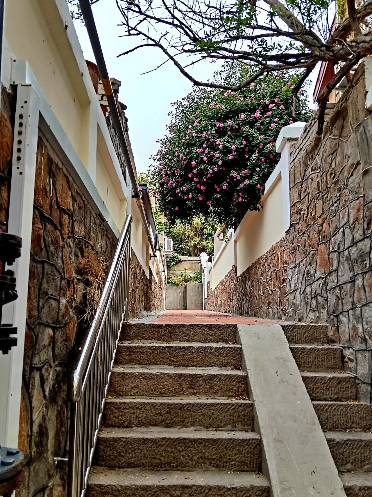 发一张图片证明你来过青岛这是哪？