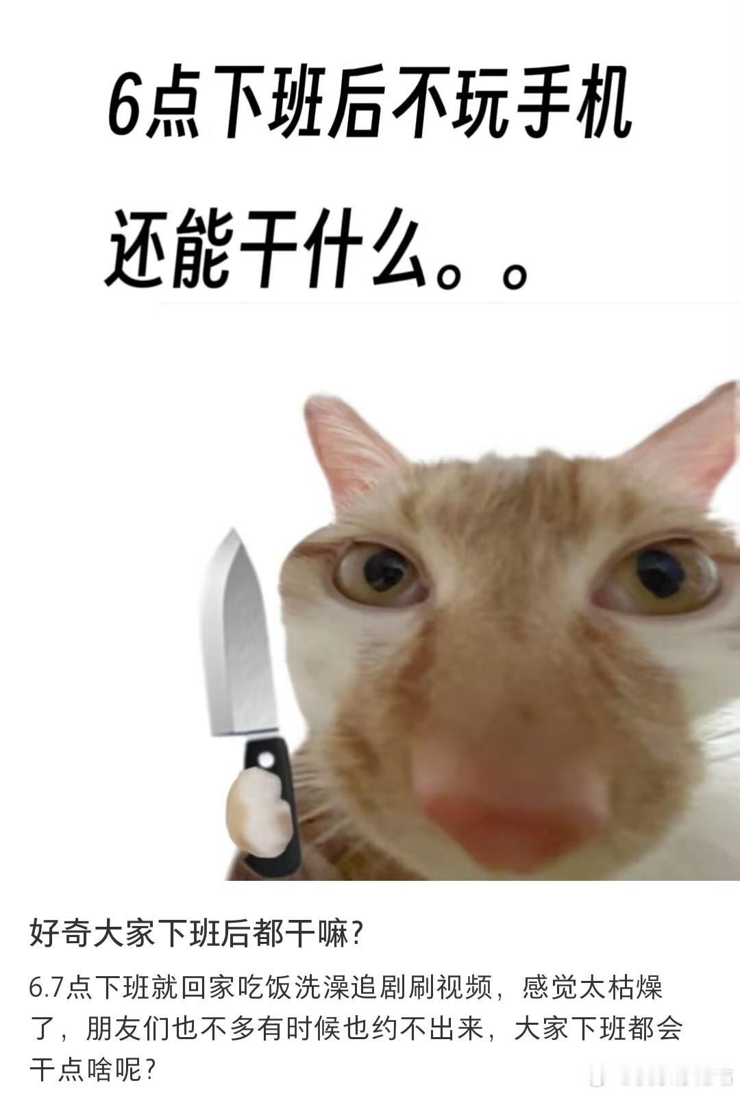 好奇大家下班后都干嘛❓​​​