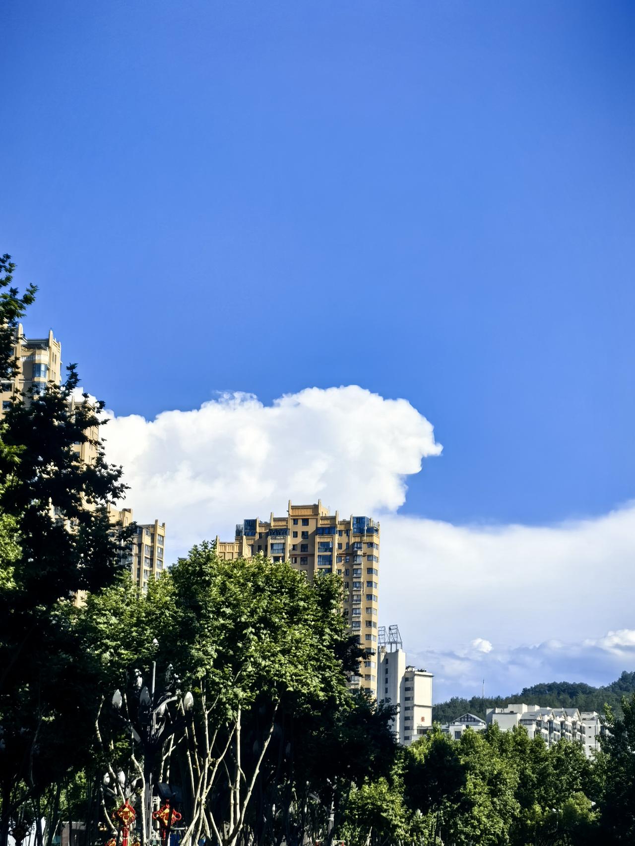 没见过这样讲价的，把价往高的讲！[捂脸哭]今天听到一个故事：某单位来了一位异地领