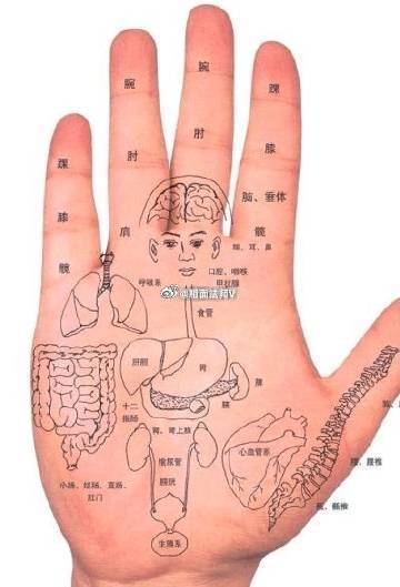 从手掌颜色看健康状况？婚姻生活手相面相算命超话1、手掌发红：体有实热，血液粘稠，有高血脂症。2、手掌
