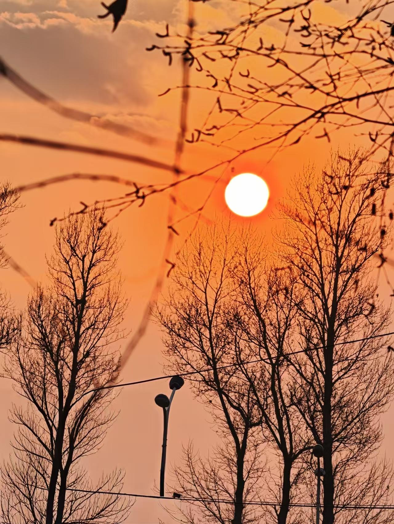 同事婆婆82岁了，同事要请保姆照顾，可是老太太死活不乐意。没有办法，同事说，我