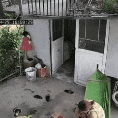 刷到这视频看的我直发凉，为啥旁边的人无动于衷？这不像假的？