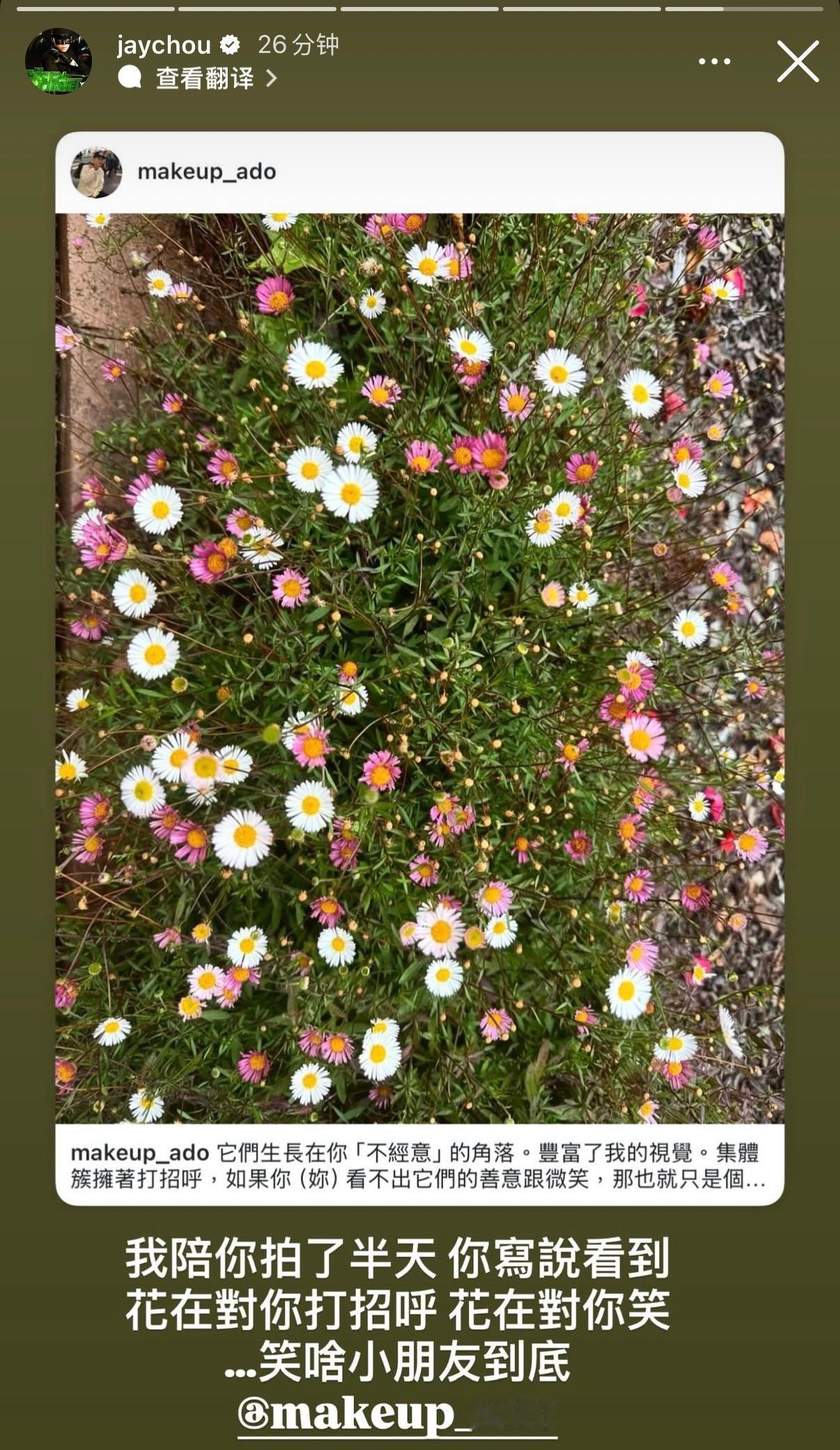 杰伦：我陪你拍了半天你写说看到花对你打招呼花在对你笑…笑啥小朋友到底