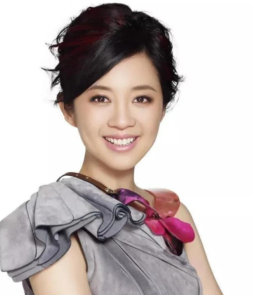 2004年，已婚富商丁健出轨了被誉为“倪萍接班人”的美女主持许戈辉，深知纸包不住