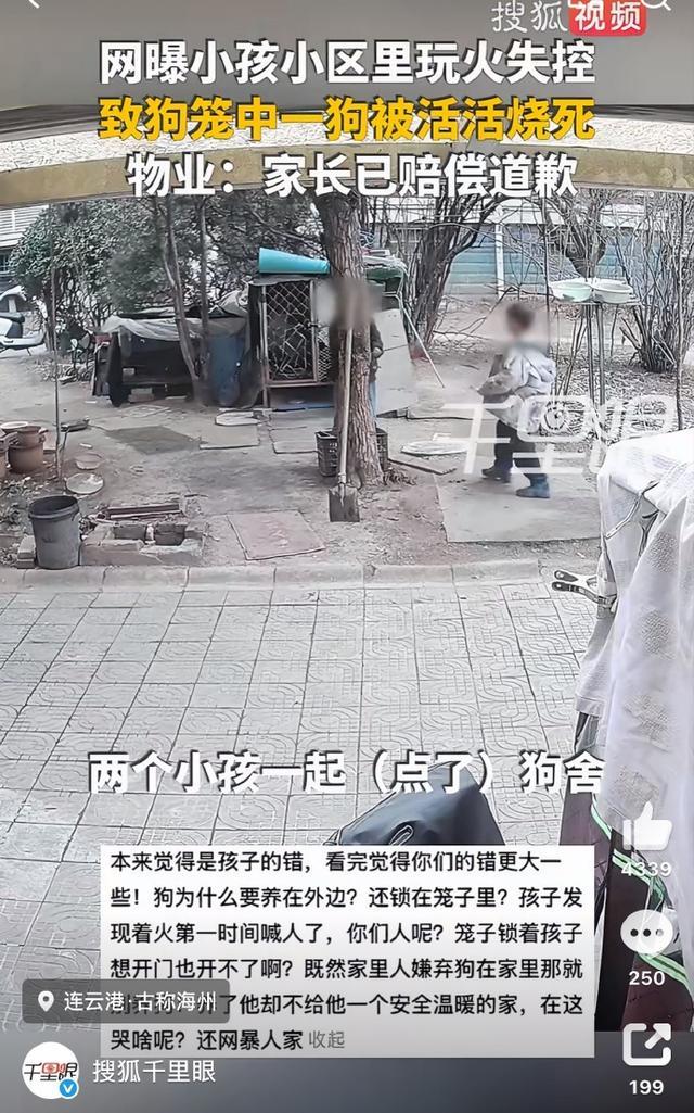 连云港东海县小区烟花引燃狗舍致狗身亡事件的理性看法江苏连云港市东海县一小