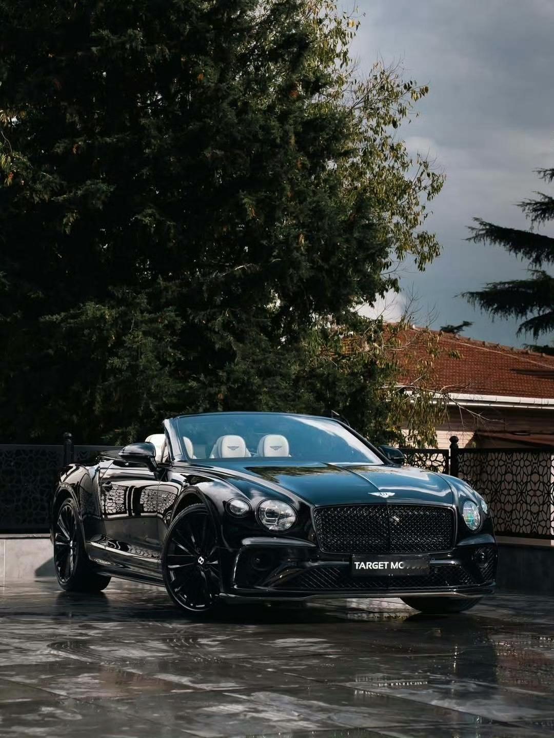 宾利ContinentalGTCW12